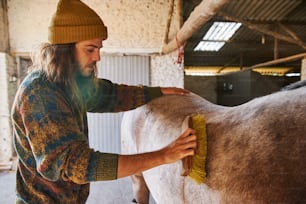a man brushing a horse in a barn