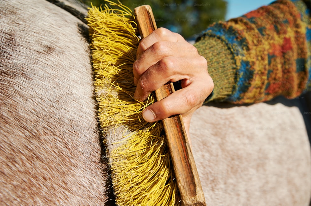 un gros plan d’une personne tenant une brosse sur un cheval