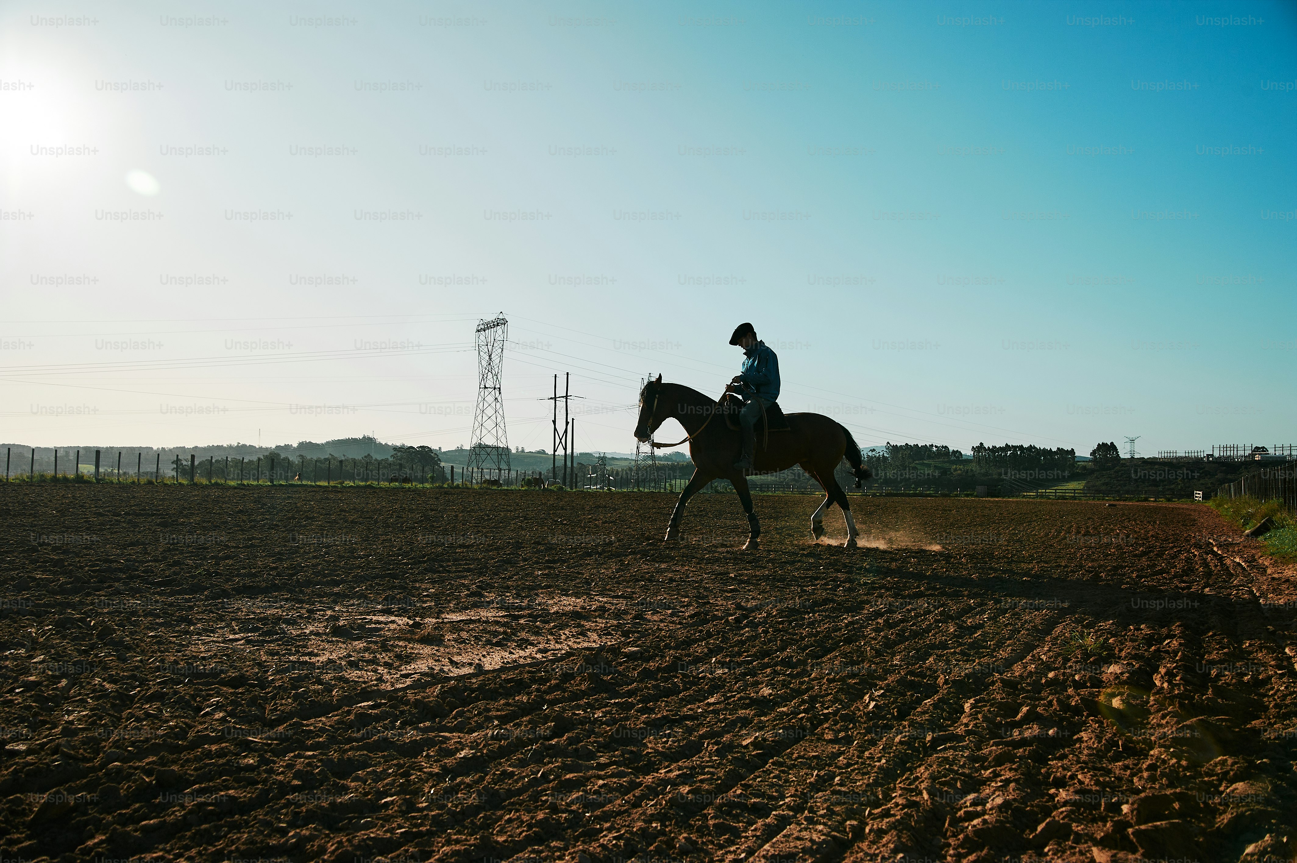 a man riding on the back of a brown horse