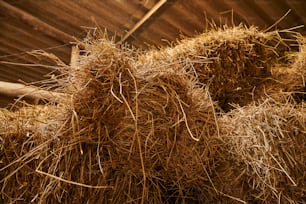 a pile of hay sitting on top of a wooden floor