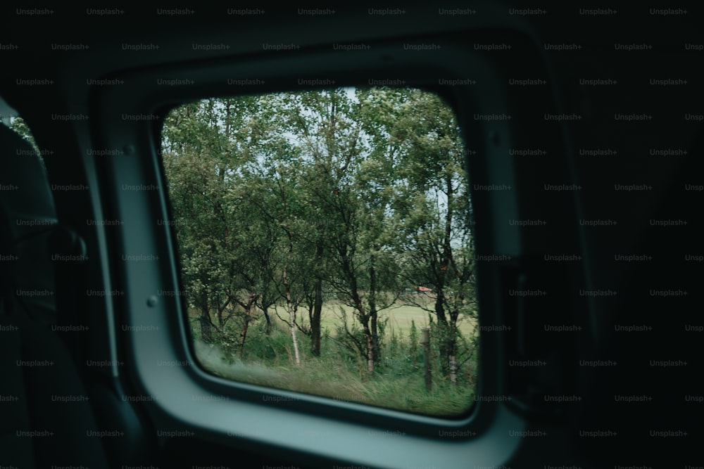 una vista de un campo a través de una ventana de un vehículo