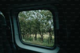 ein Blick auf ein Feld durch ein Fenster eines Fahrzeugs