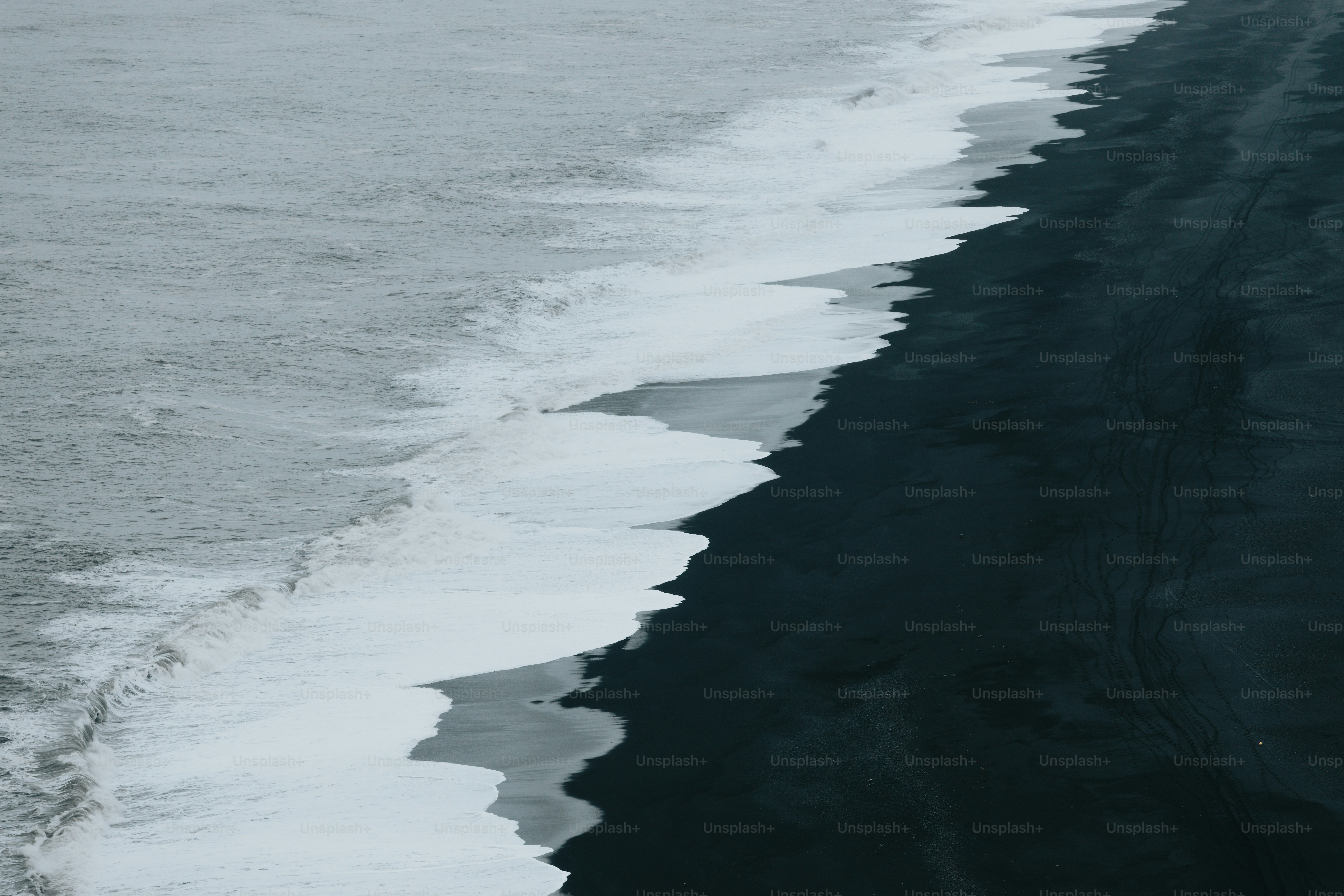 premium_photo-1664360971462-03dc14fa05fc?ixid=M3wxMjA3fDB8MXxzZWFyY2h8Mnx8JUVCJThDJTgwJUVBJUI1JUFDJUVBJUIwJTgwJUVCJTlEJUJDJUVDJTk4JUE0JUVDJUJDJTgwfGVufDB8fHx8MTc0MDU1NDExMXww\u0026ixlib=rb-4.0.3