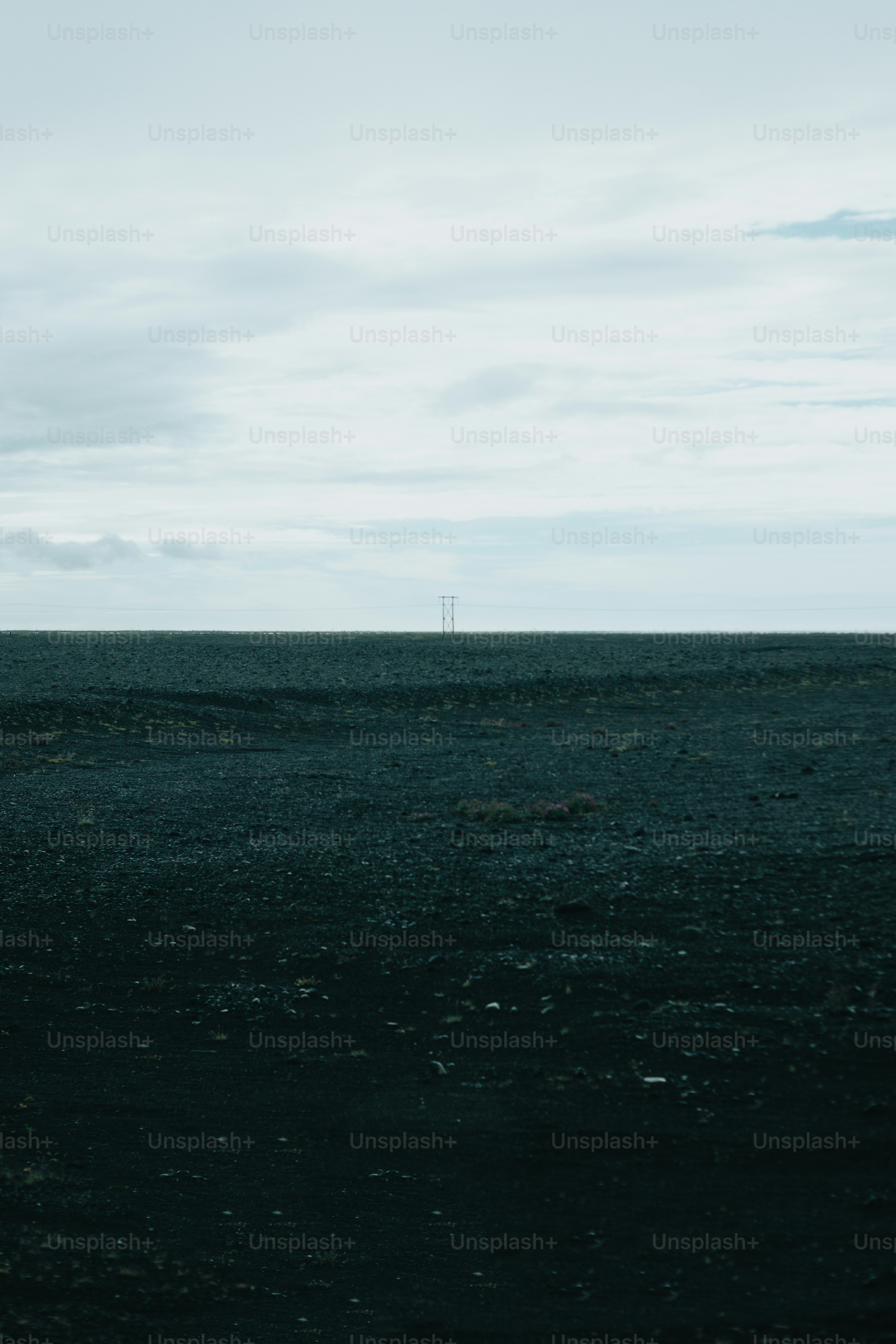 a lone horse standing in the middle of a field