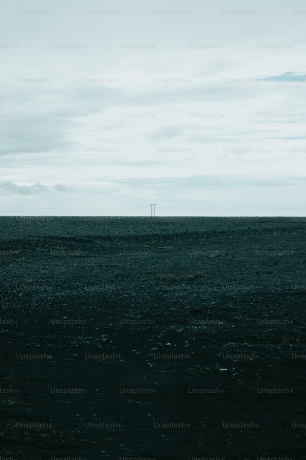 Un caballo solitario parado en medio de un campo