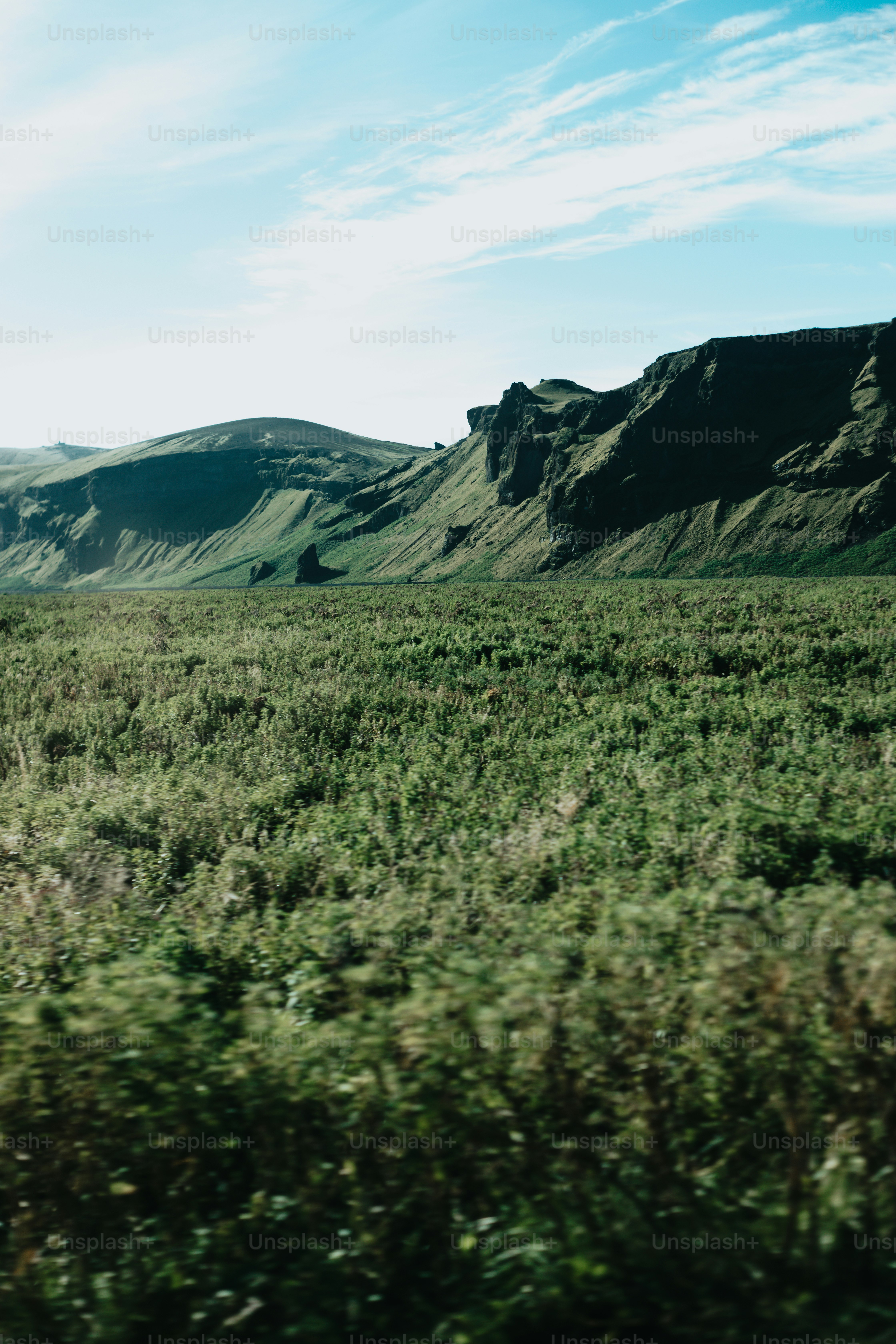 a grassy field with mountains in the background
