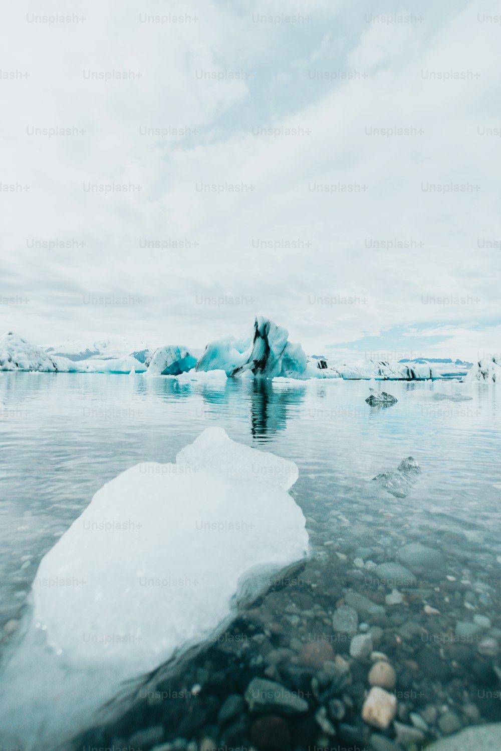 水域の上に浮かぶ大きな氷山