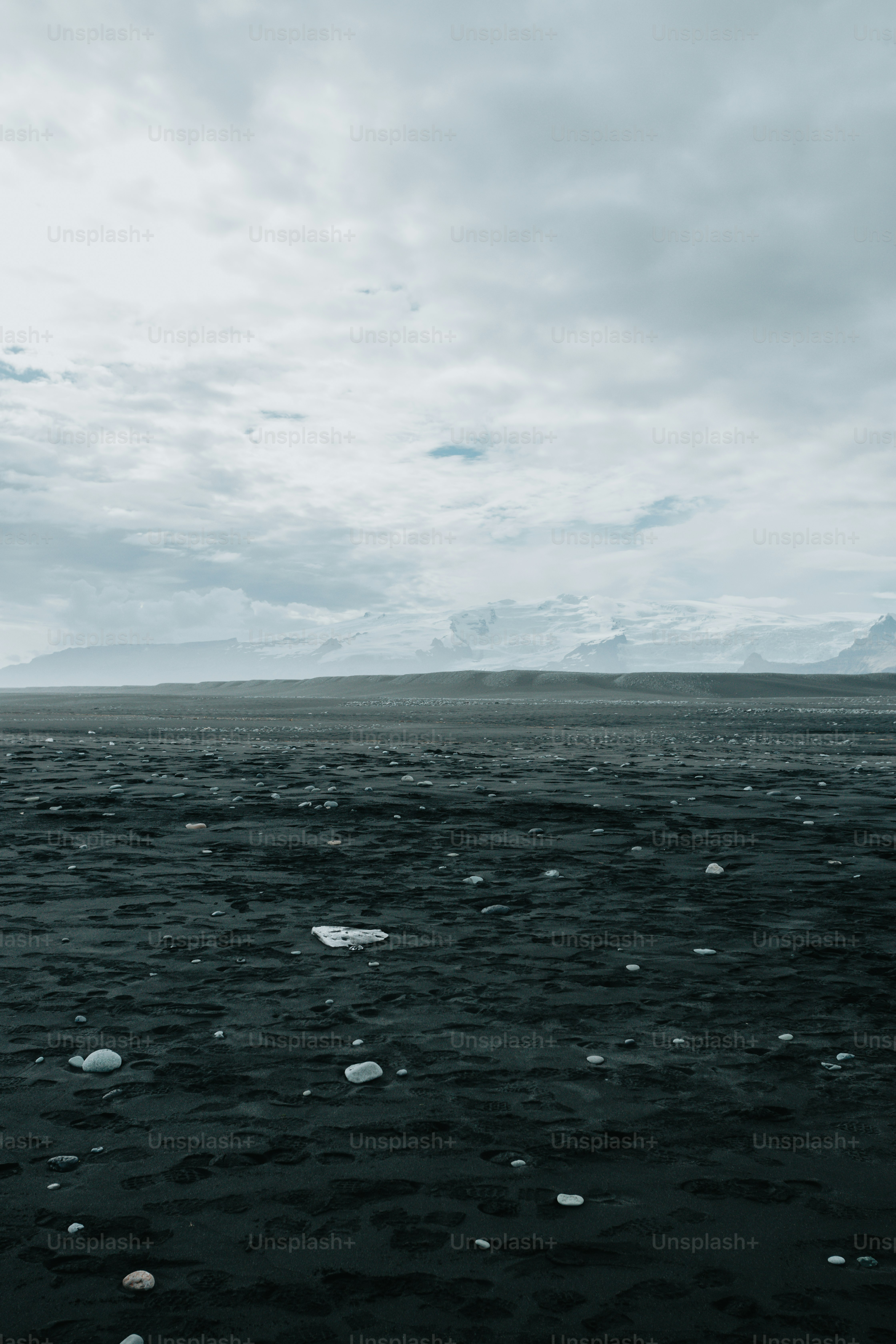 uma grande massa de água cercada por icebergs