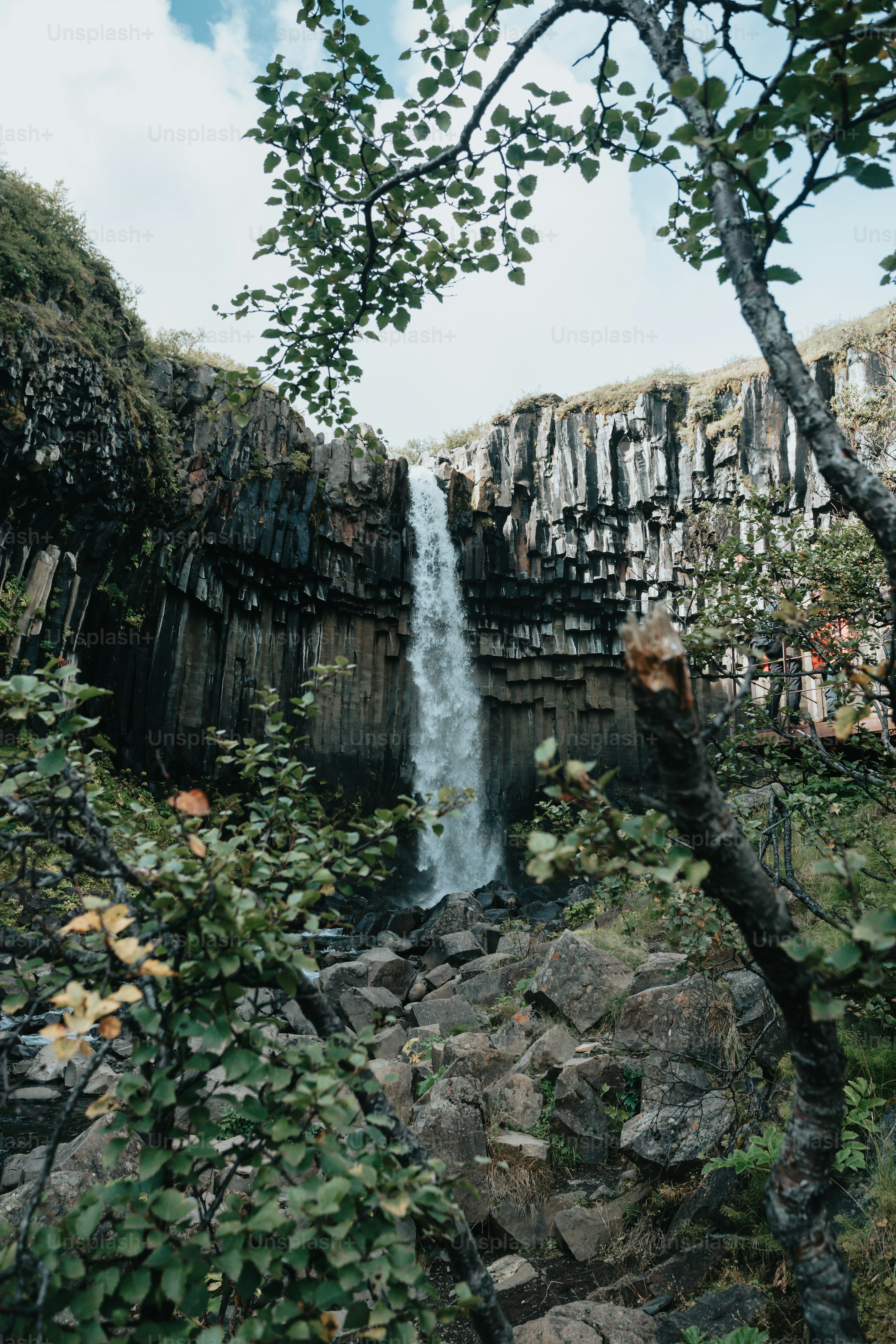 a small waterfall in the middle of a forest