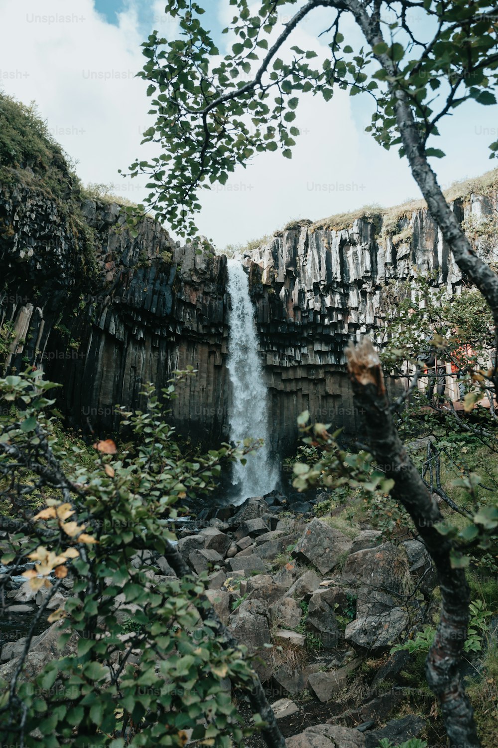 a small waterfall in the middle of a forest