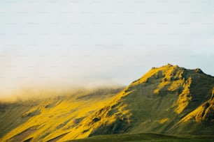a mountain covered in yellow and green grass