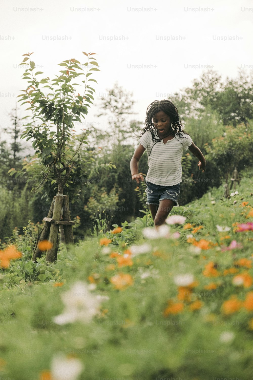 a little girl running through a field of flowers