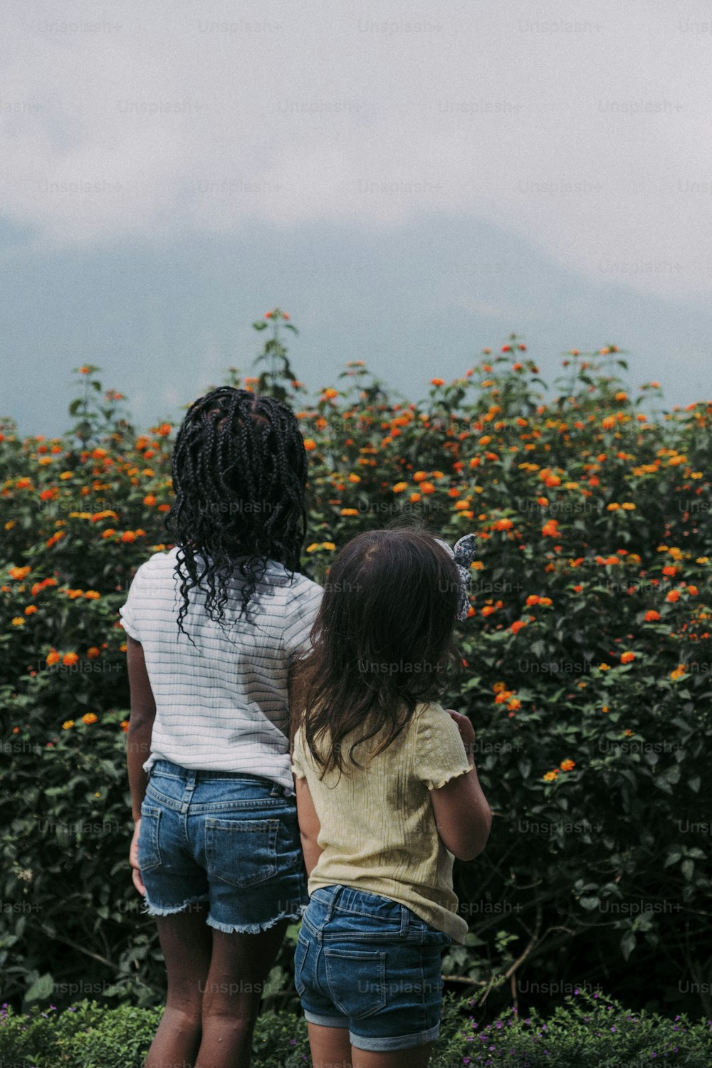 two little girls standing in front of a field of flowers