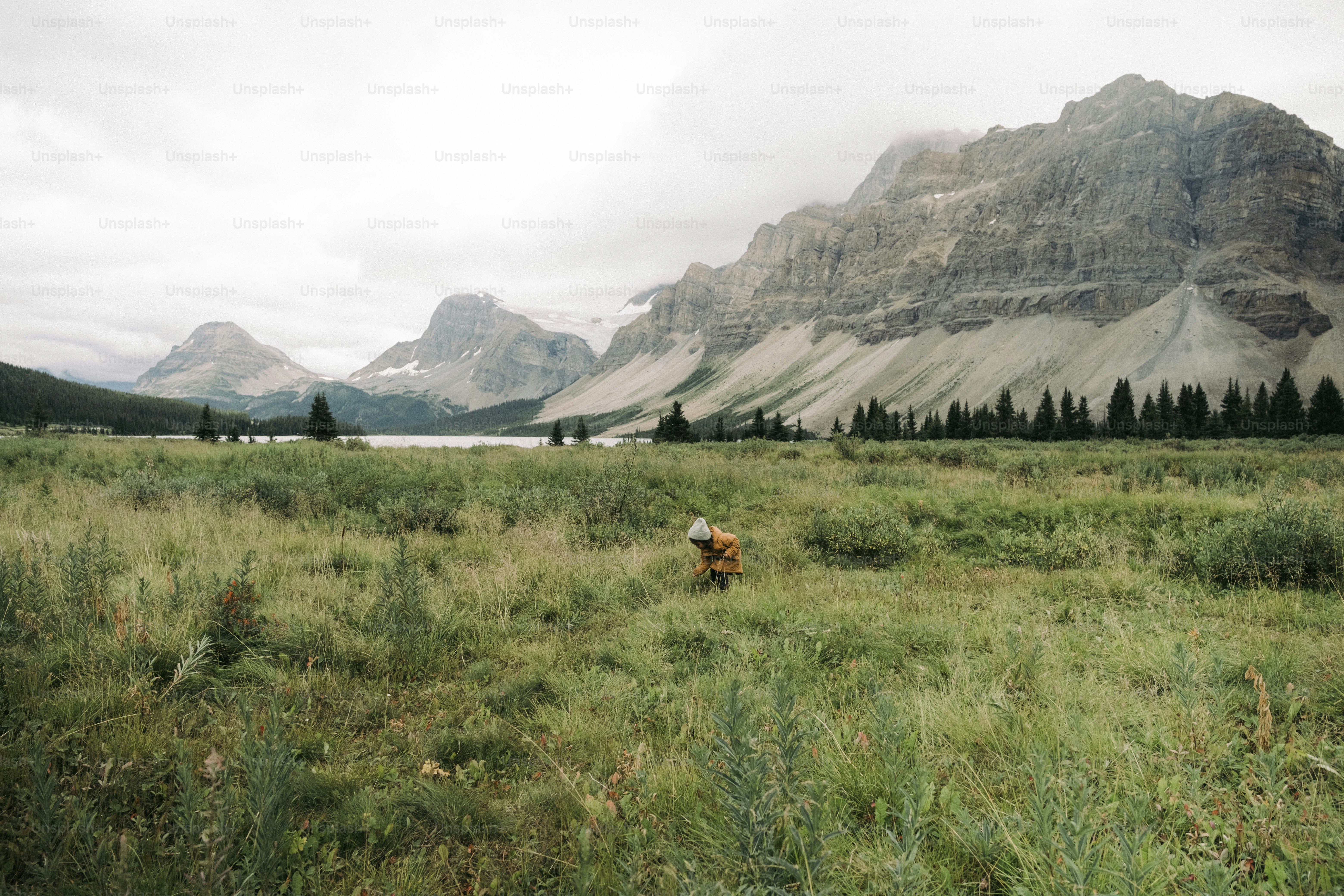 eine Person auf einem Feld mit Bergen im Hintergrund
