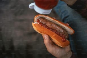 a person holding a hot dog with ketchup and mustard
