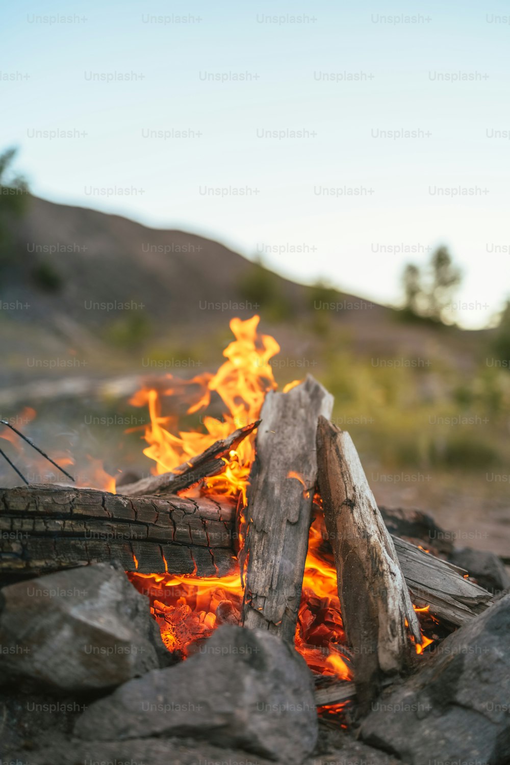불 더미 위에 앉아있는 나무 더미