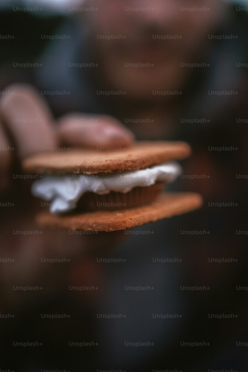 a close up of a person holding a sandwich