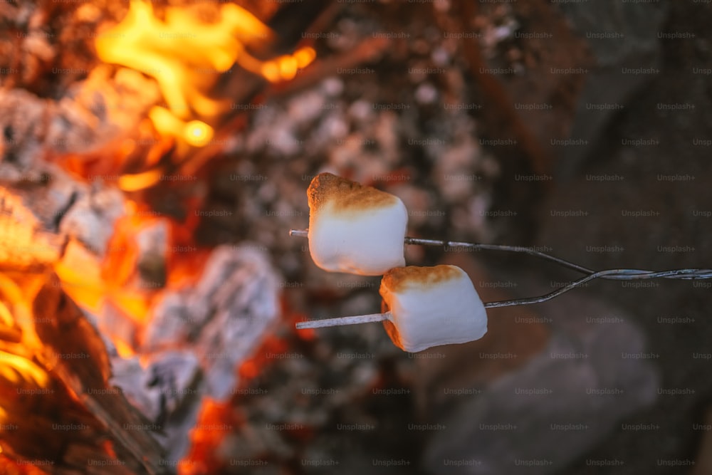 two marshmallows roasting over a camp fire