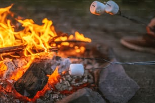 guimauves rôties sur un feu de camp avec des guimauves