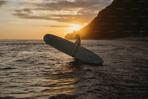 una persona sosteniendo una tabla de surf en el agua