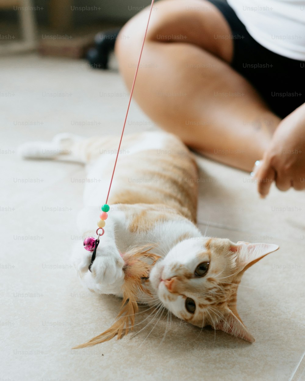 an orange and white cat playing with a string