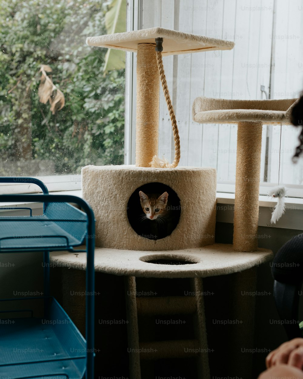 a cat sitting in a cat tree in a room