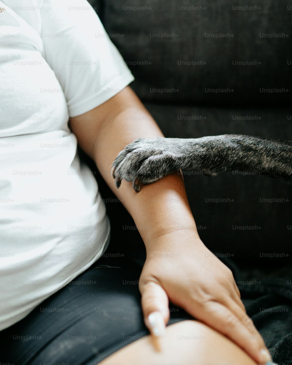 Una persona sosteniendo la pata de un gato mientras está sentada en un sofá