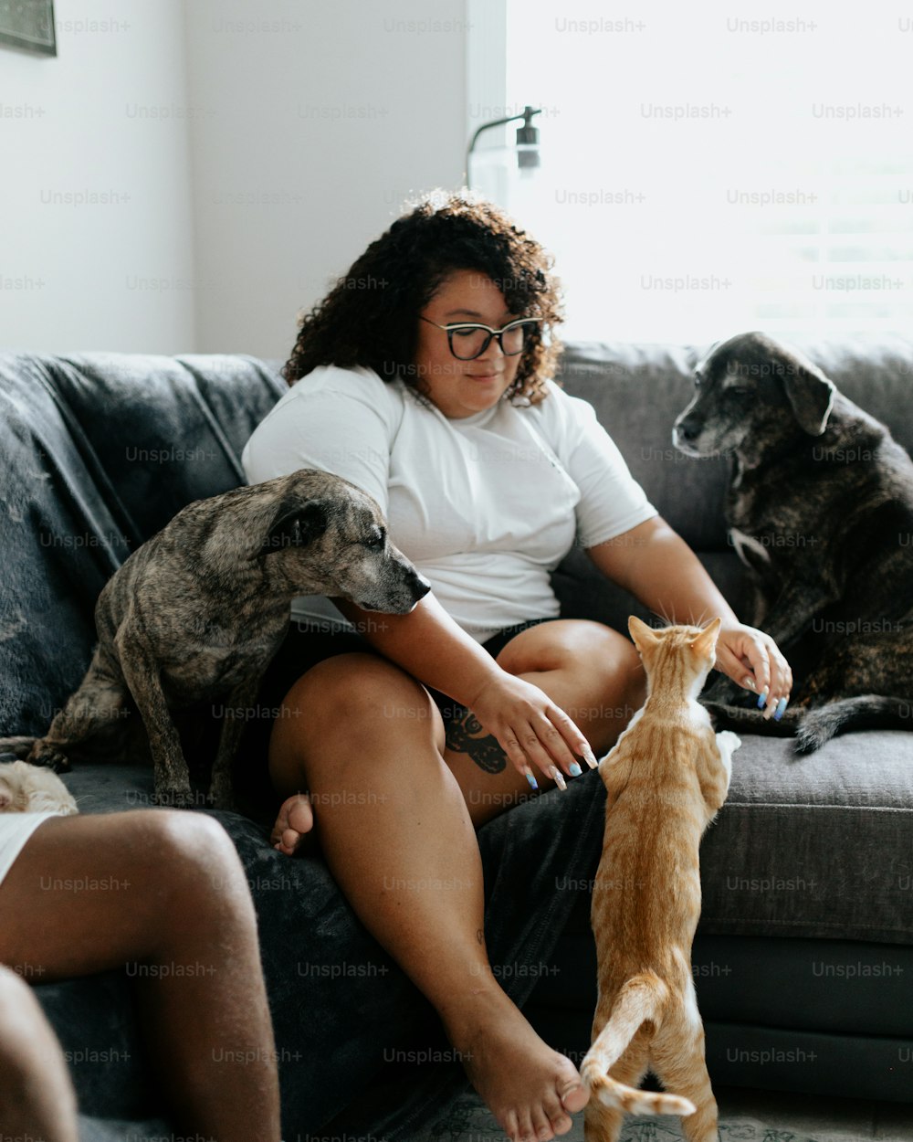 a woman sitting on a couch with two dogs and a cat