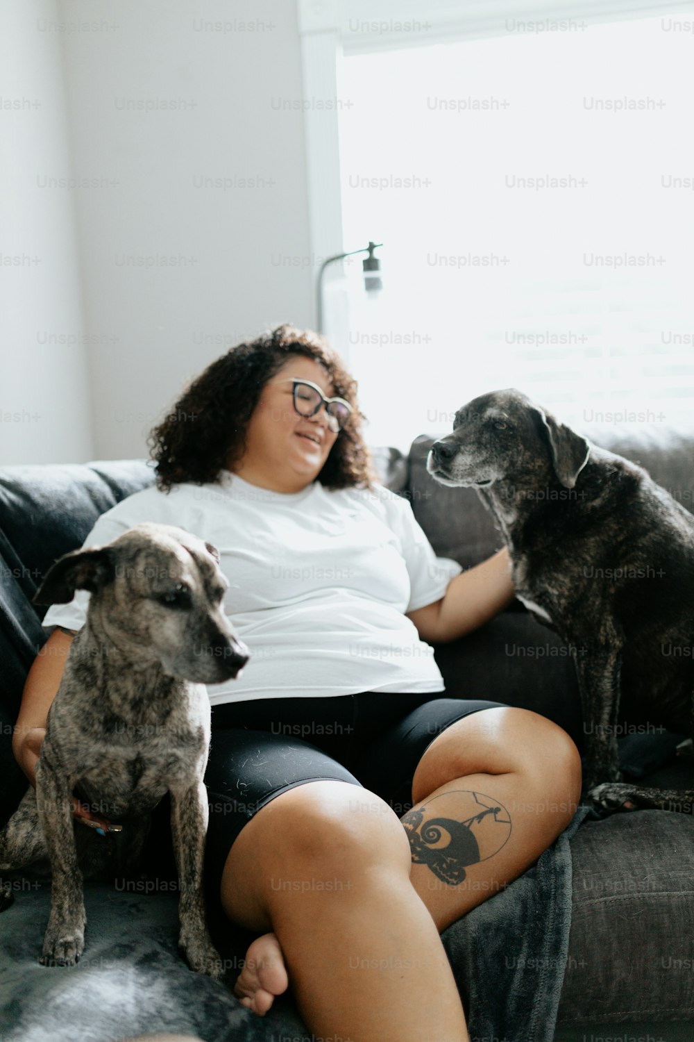 Eine Frau, die mit zwei Hunden auf einer Couch sitzt