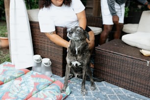 a woman sitting in a chair with a dog