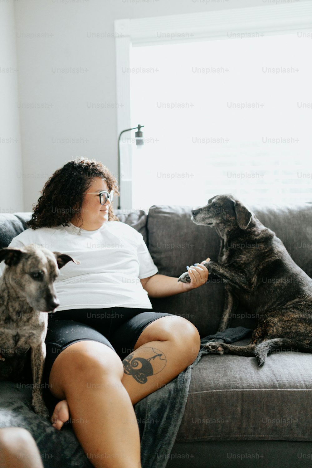 Eine Frau, die mit zwei Hunden auf einer Couch sitzt