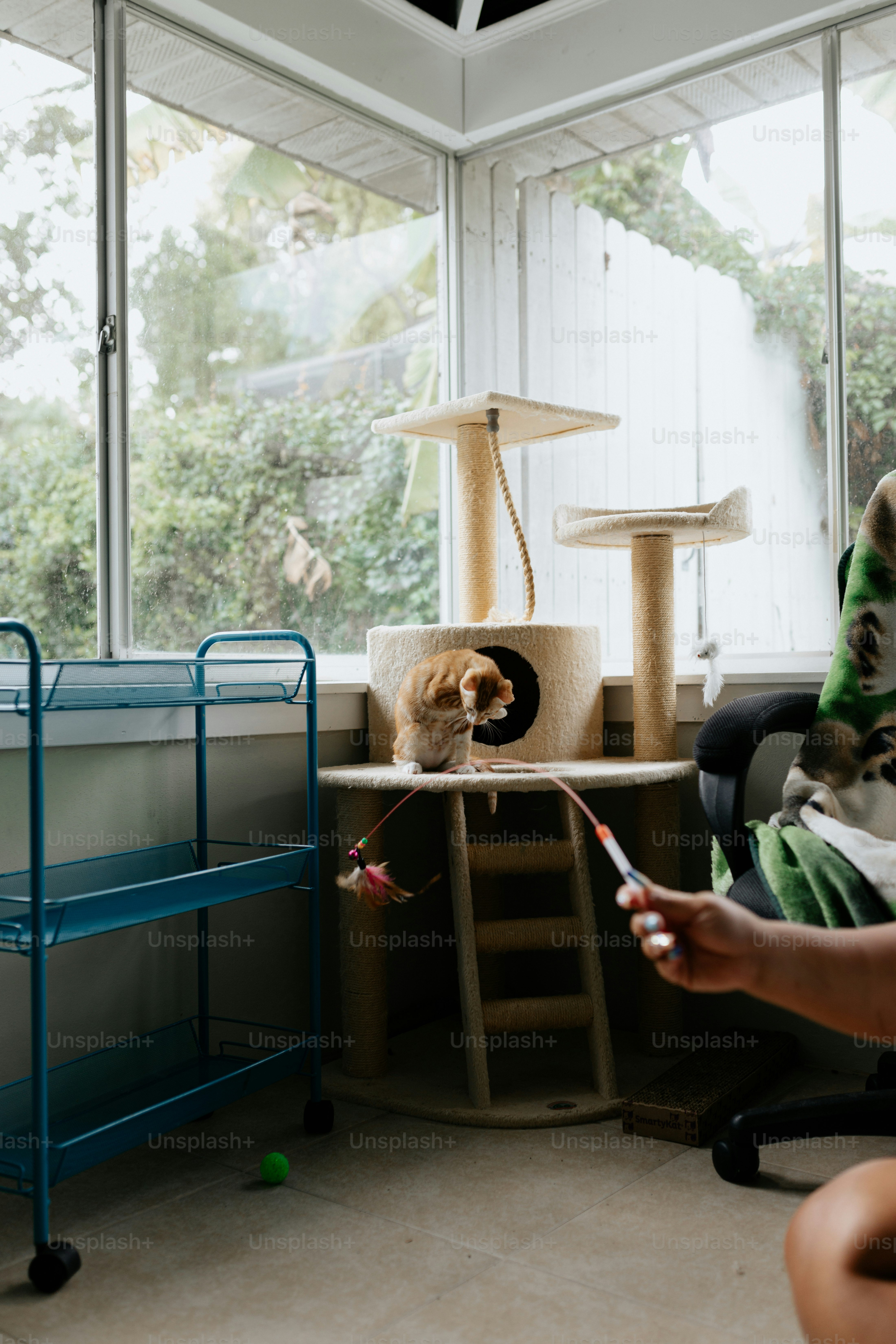 Una mujer sentada en una silla frente a un gato