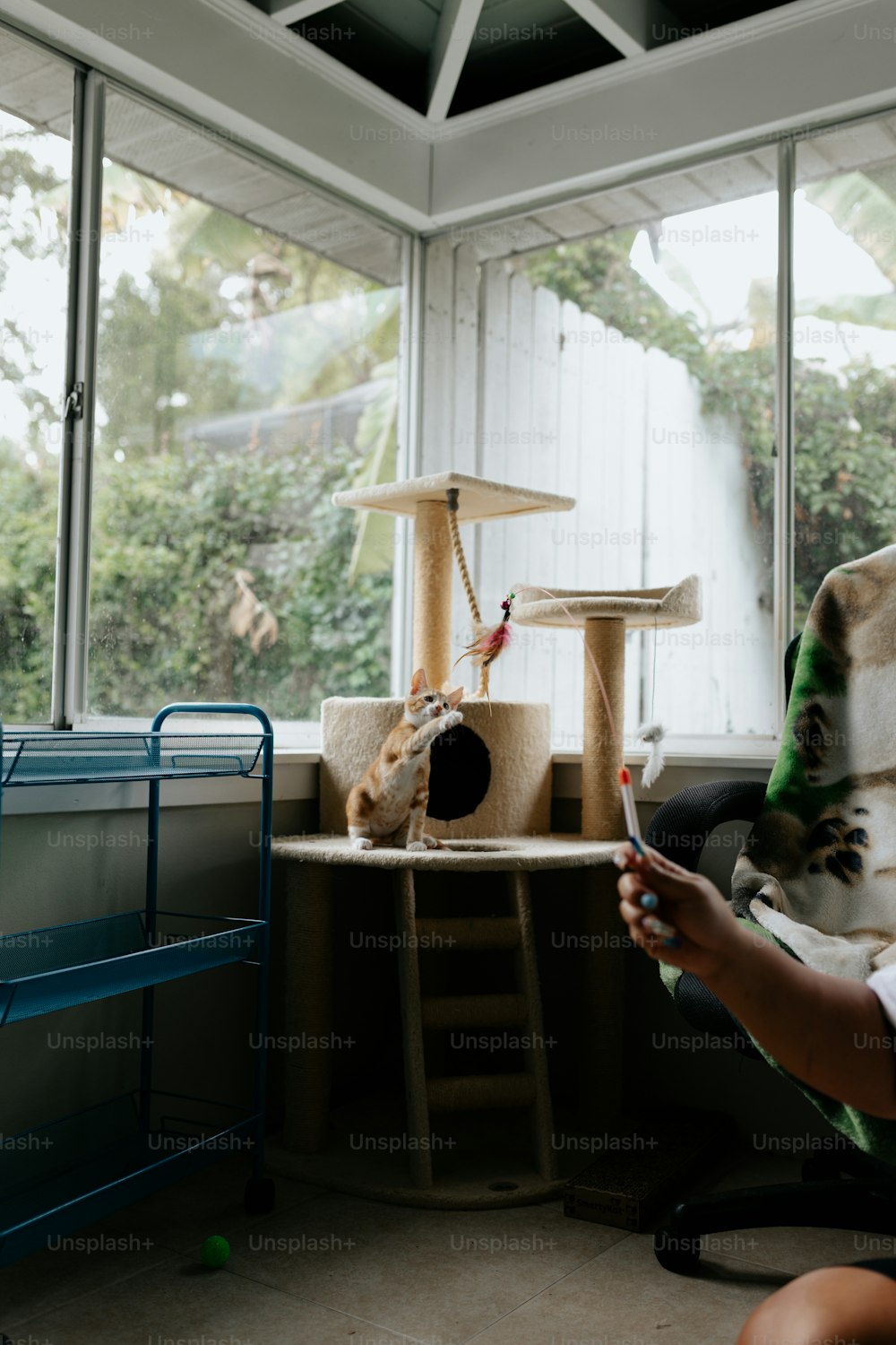 a person sitting in a chair in front of a cat tree