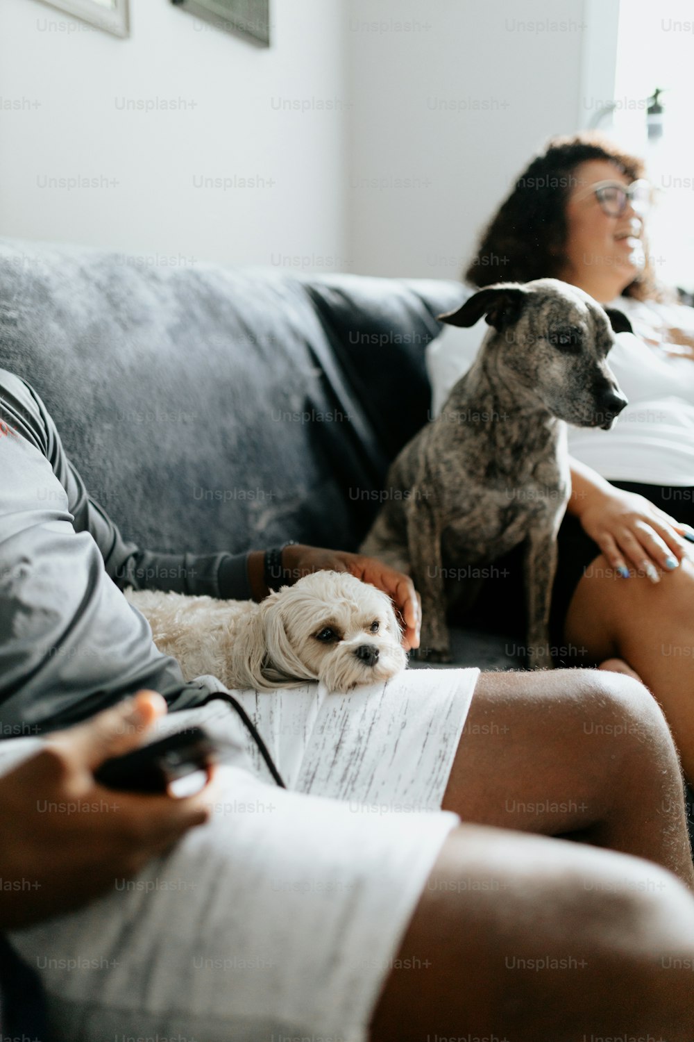 Un par de personas sentadas en un sofá con un perro