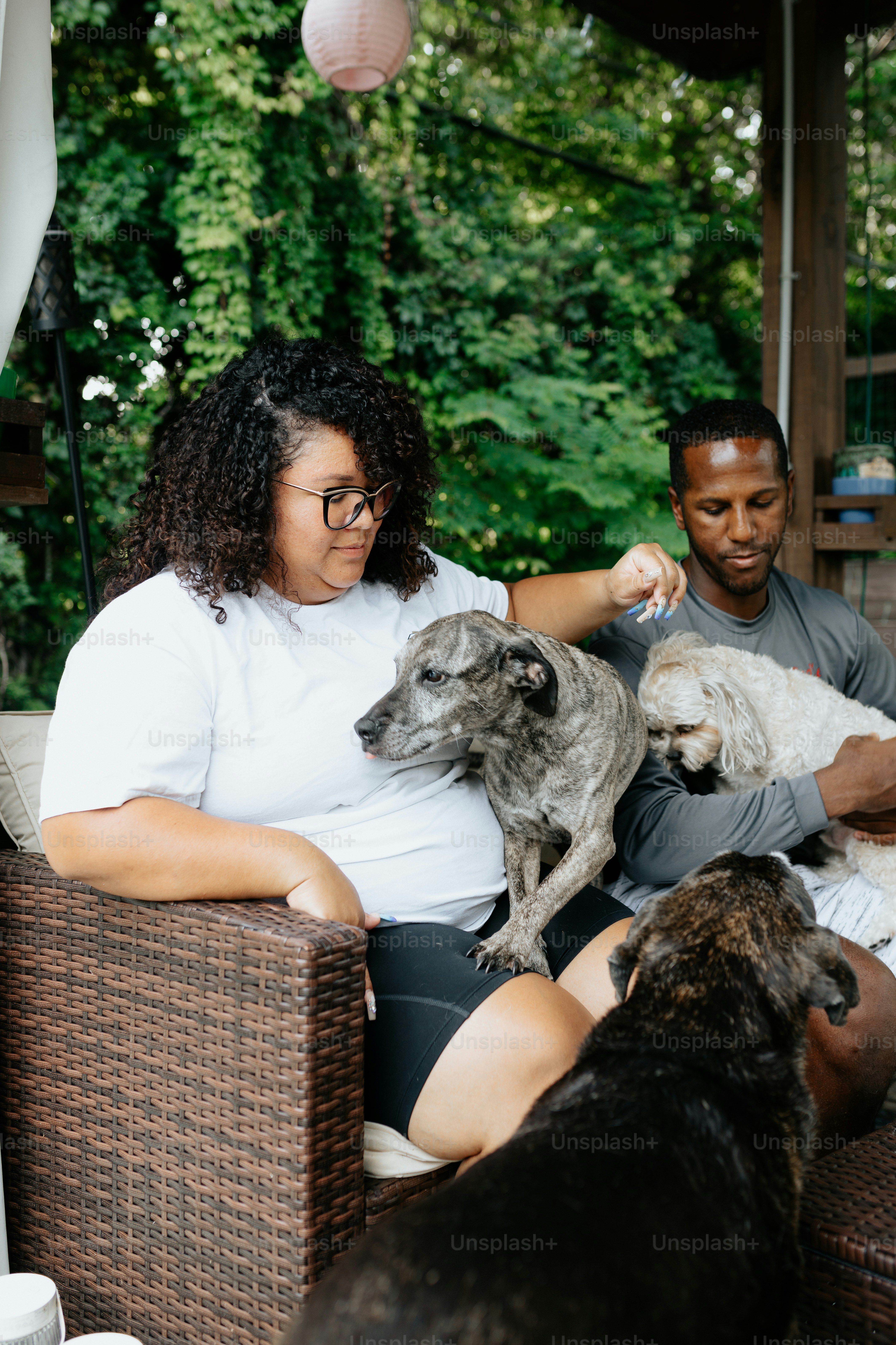 Un hombre y una mujer sentados en un sofá con dos perros
