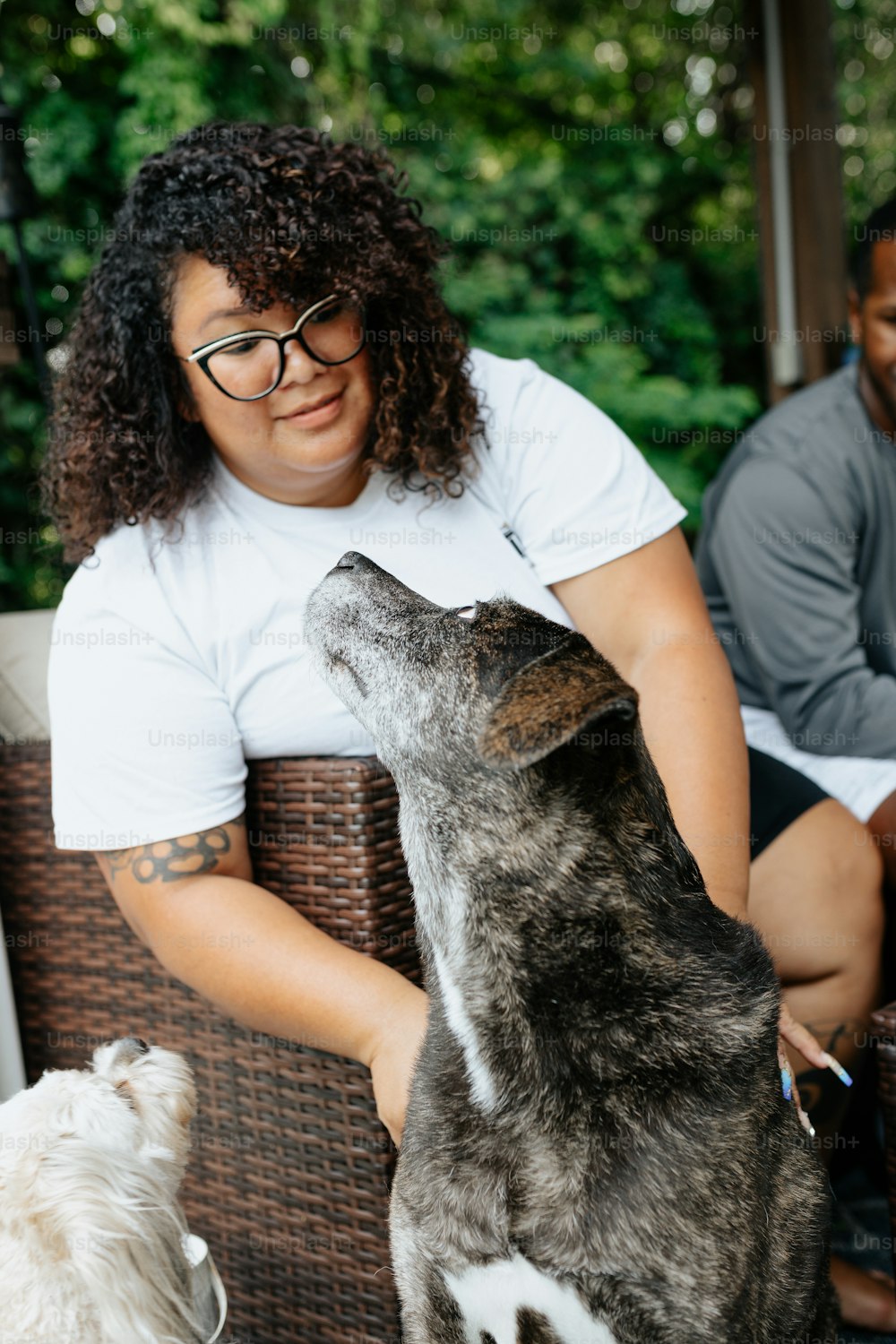 a woman sitting on a chair petting a dog