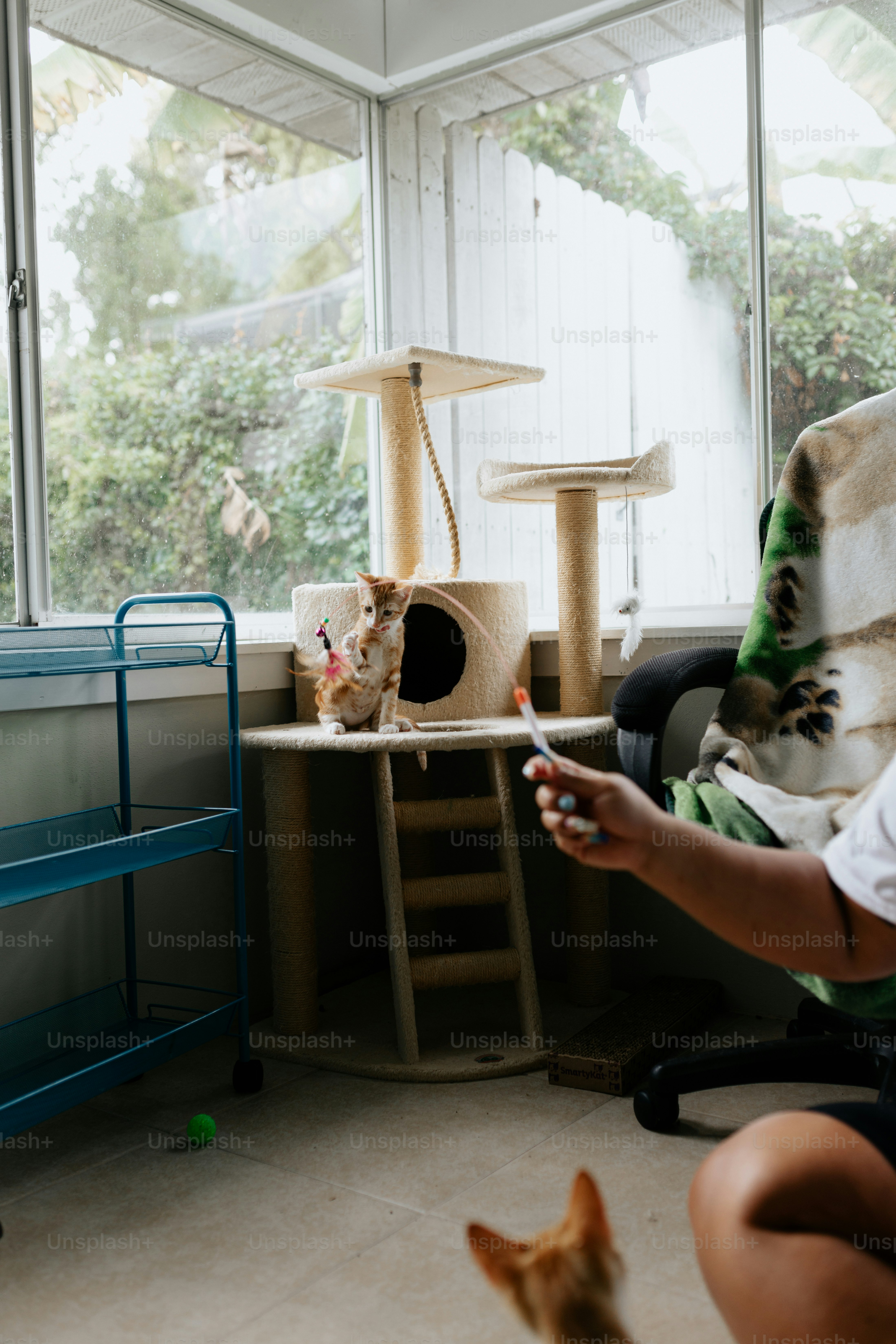 a woman sitting in a chair next to a cat