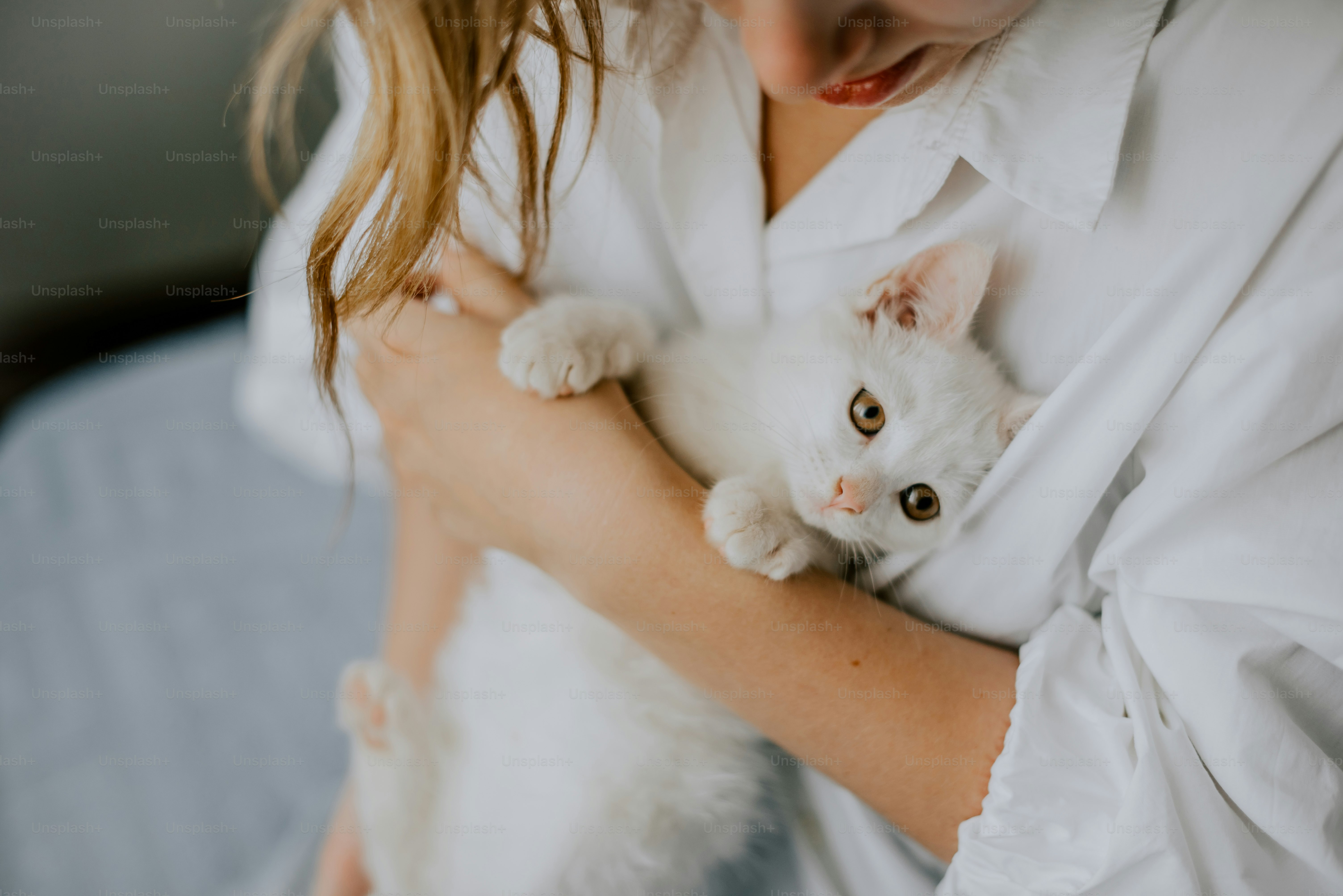 白い子猫を腕に抱く女性