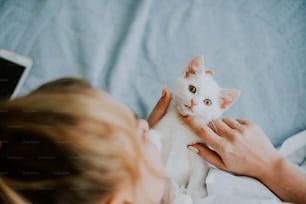 une personne tenant un chat blanc dans ses mains