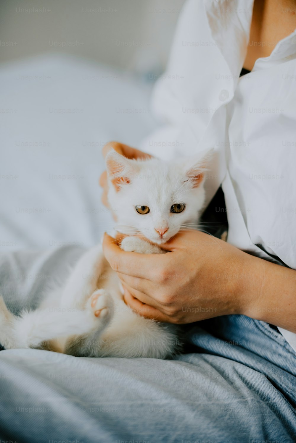 a woman holding a white cat on top of a bed
