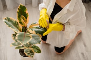 a woman in yellow gloves is holding a potted plant
