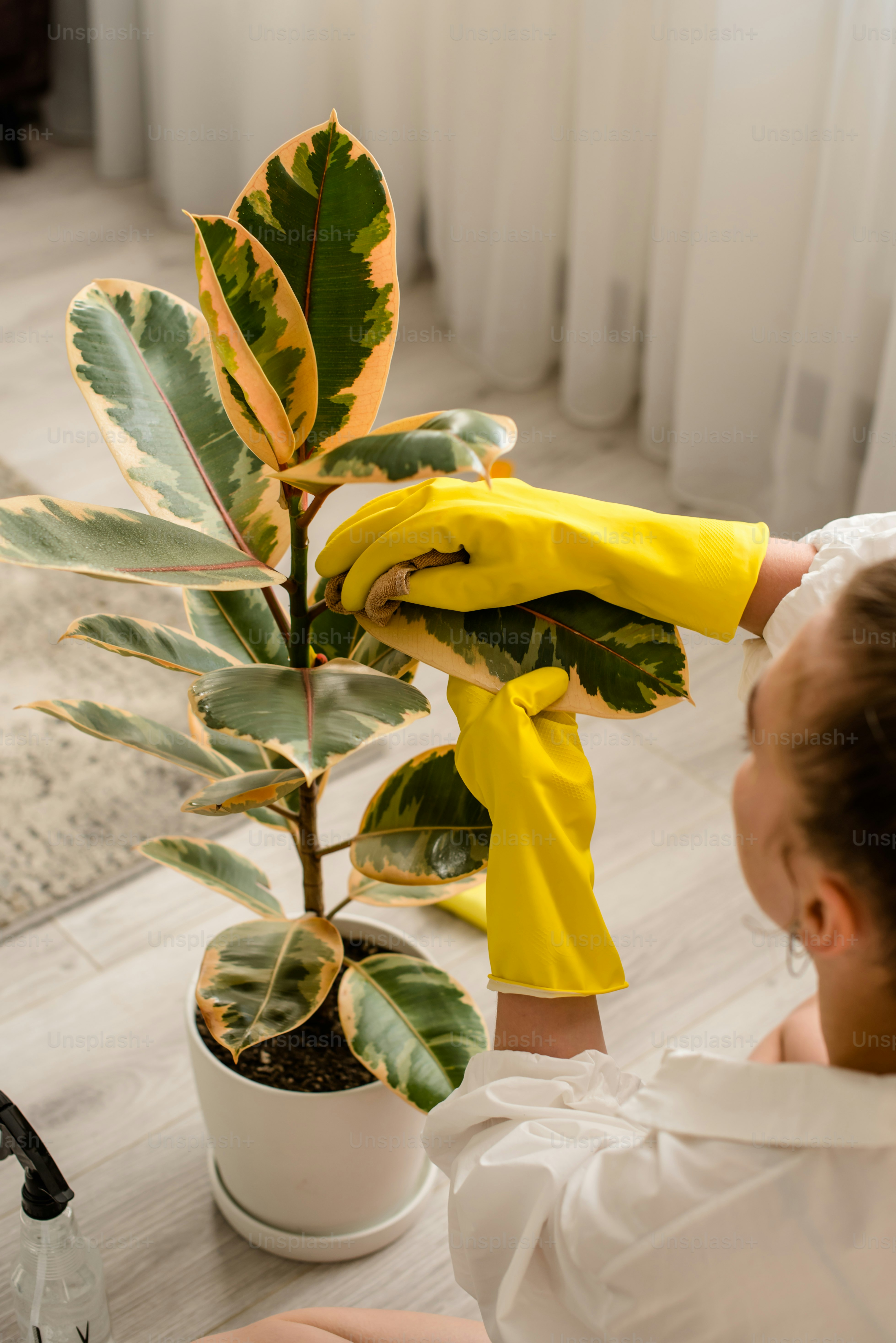 a woman in yellow gloves is cleaning a potted plant