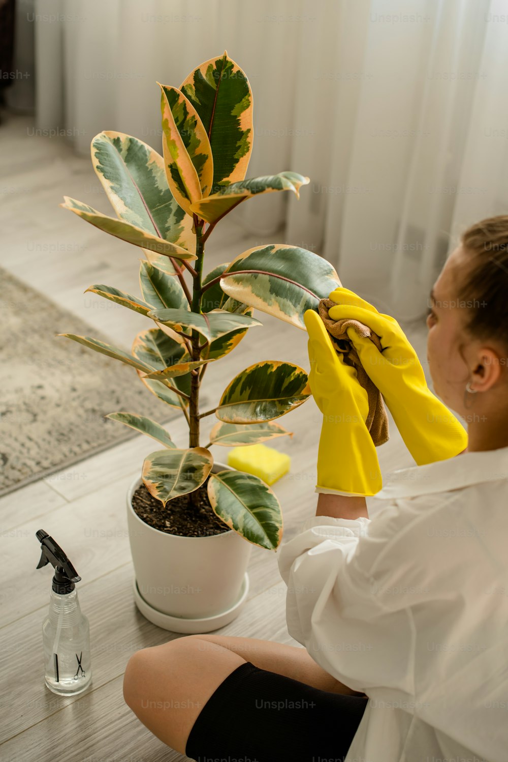 a woman is cleaning a potted plant with a yellow glove