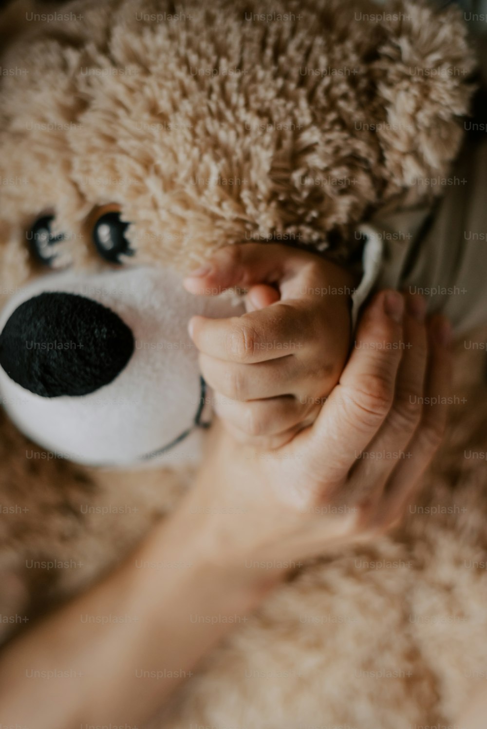 a person holding a teddy bear in their hands