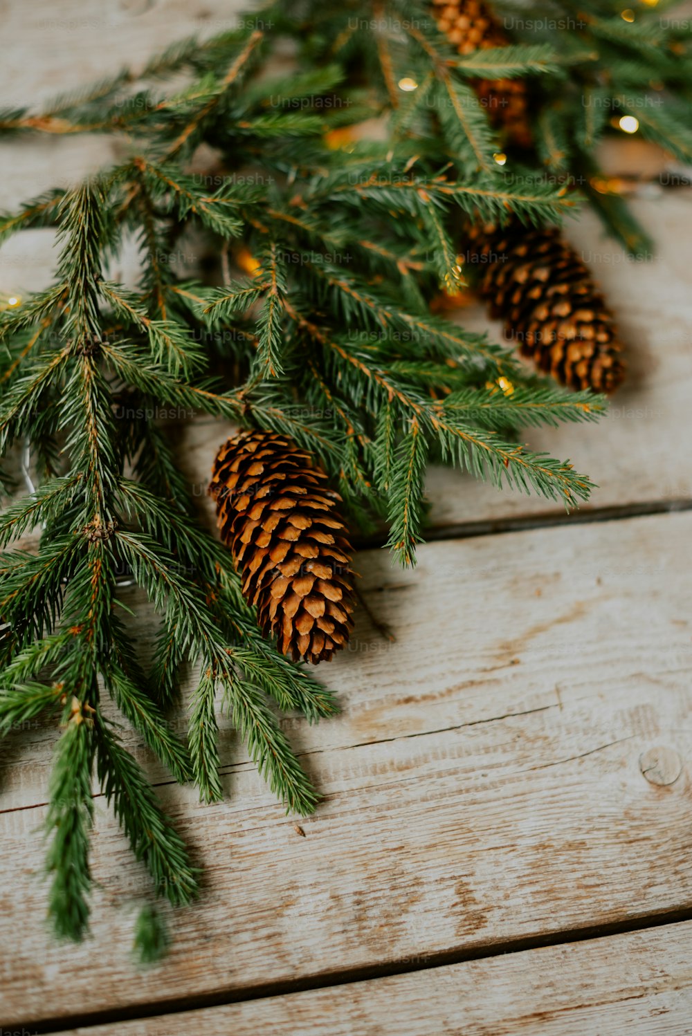 a close up of pine cones on a table