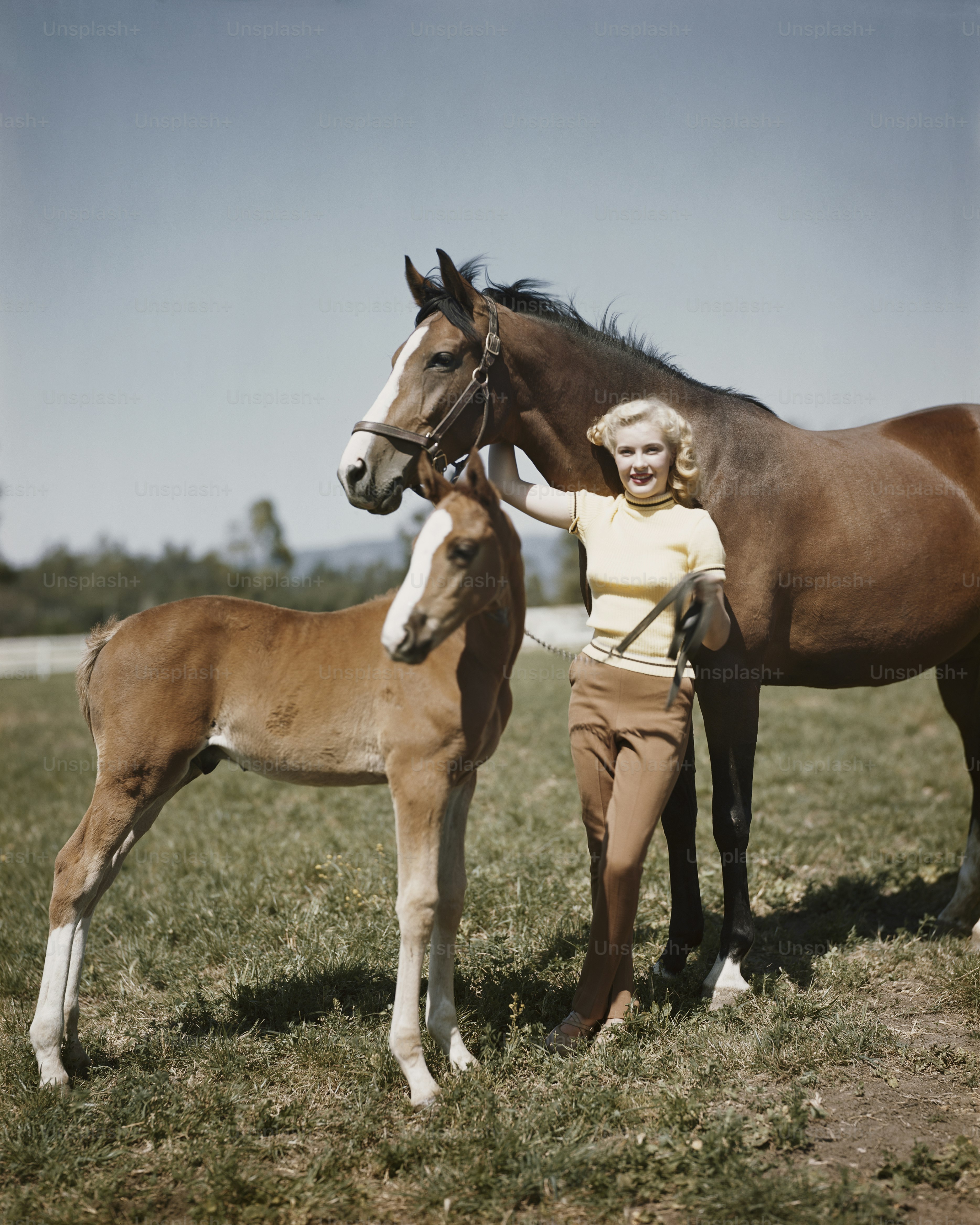 a woman standing next to a horse in a field