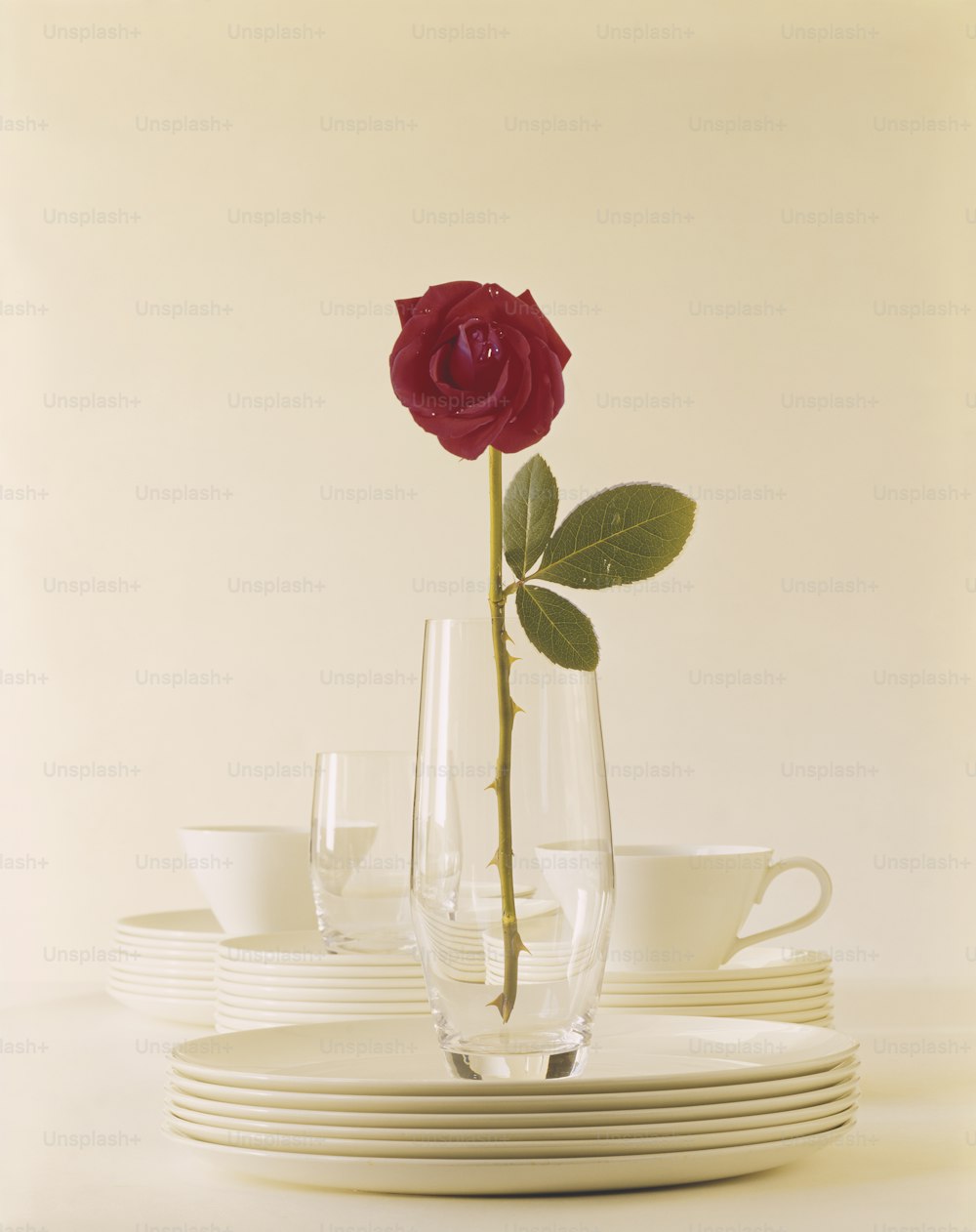 a single rose in a glass vase on a stack of plates
