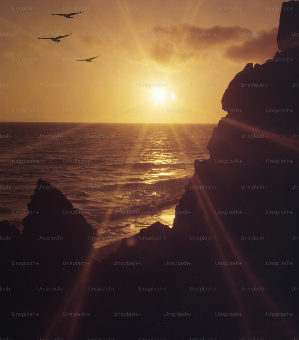 Blick auf einen Sonnenuntergang an einem felsigen Strand, mit Vögeln und dem Meer im Blick, 1990. (Foto von Tom Kelley / Getty Images) (Foto von Tom Kelley / Getty Images)