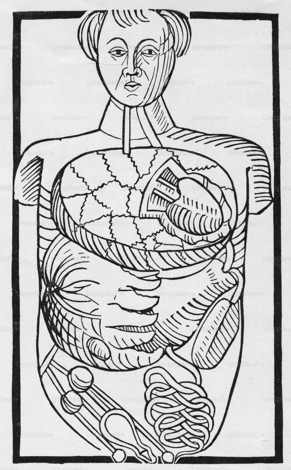 人間の腸の図。マグヌス・フントの「Antropologium de Hominis Dignitate, Natura et Proprietatibus」より「Figura de Situ Viscerum」、ライプツィヒ、1501年。 (写真提供:Hulton Archive/Getty Images)