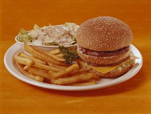 un piatto con un hamburger e patatine fritte su di esso